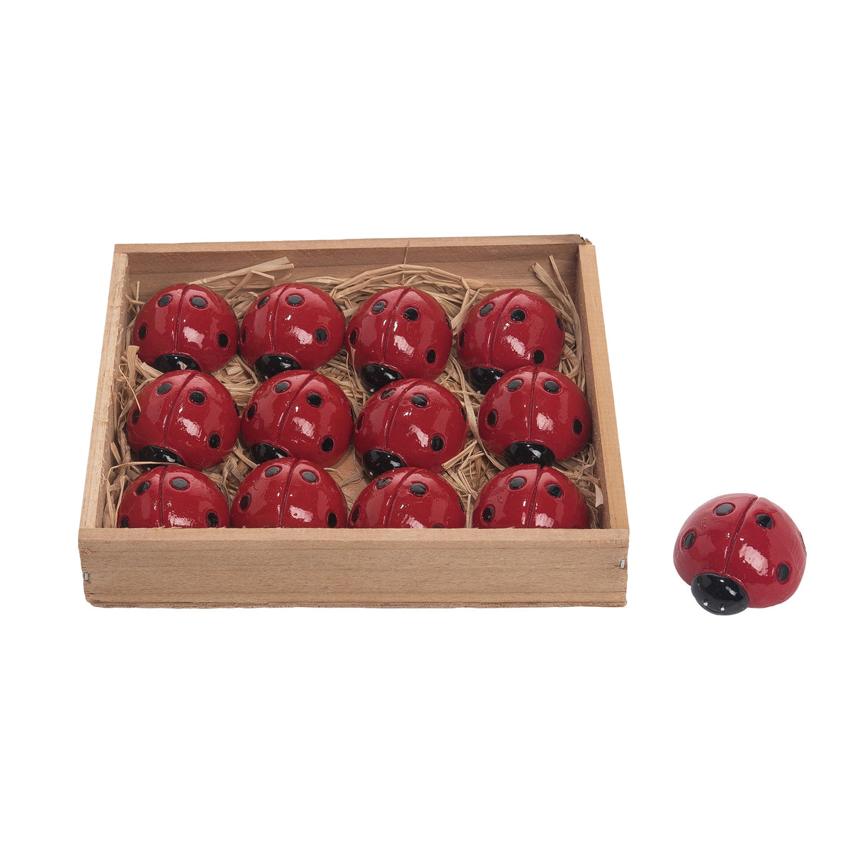 Set/4 Mini Ladybugs