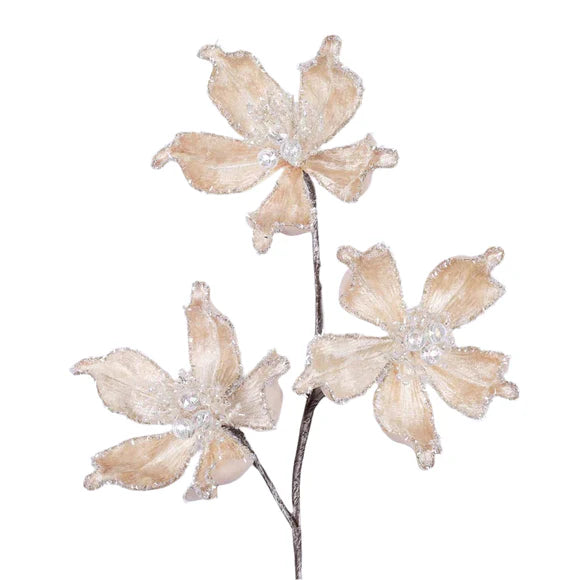 26" Champagne Mystic Magnolia Spray