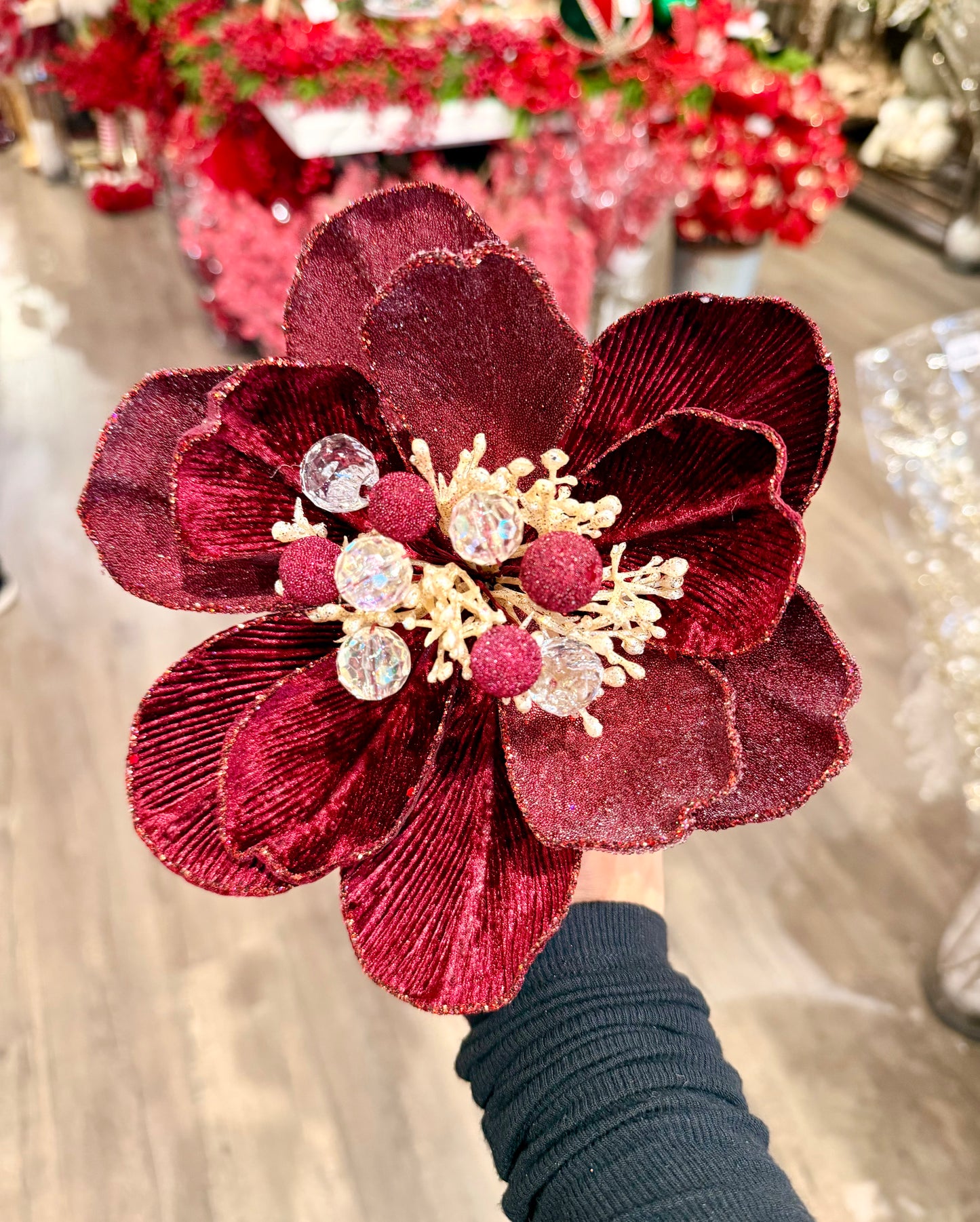 Burgundy grand magnolia stem with a full layered bloom.