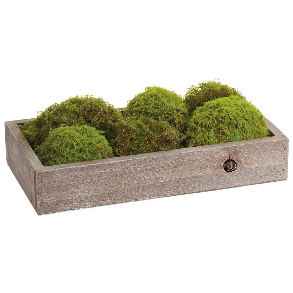 11" Moss Planter Green