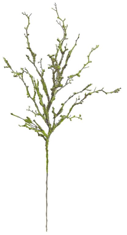 47" Moss Branch