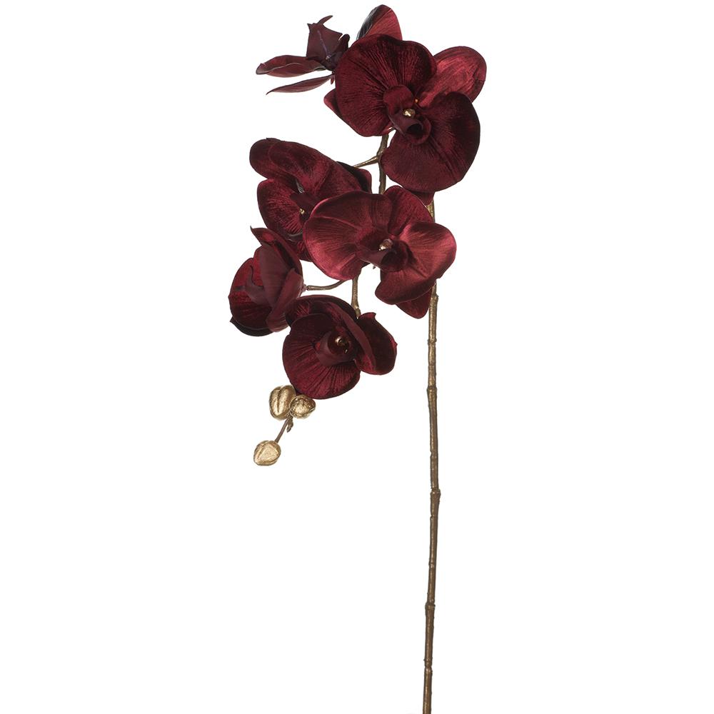 31" Burgundy Phalaenopsis Orchid Spray Shimmer Velvet