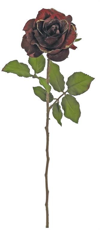 23" Velvet Rose Golden Edge