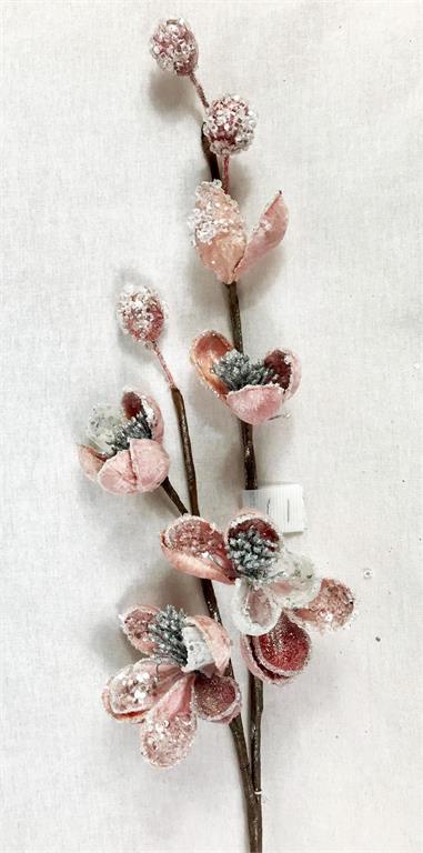 Pink mini magnolia icy spray with frosted blooms.