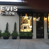 evis_design