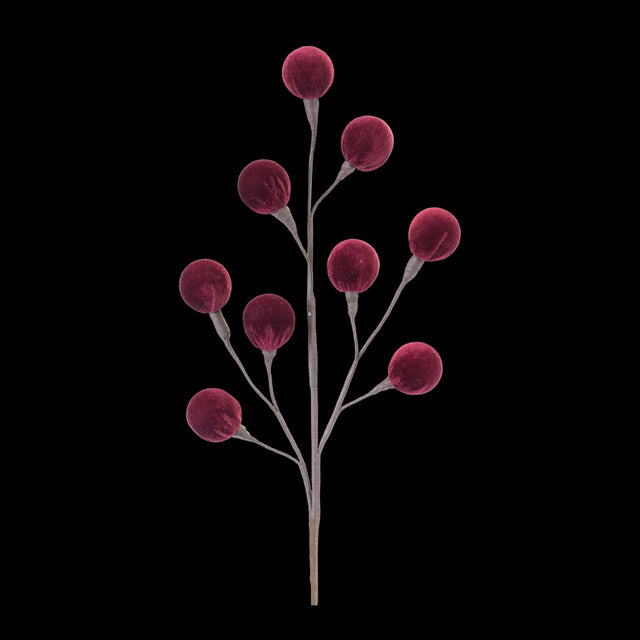 Burgundy pod spray with clustered natural pods.