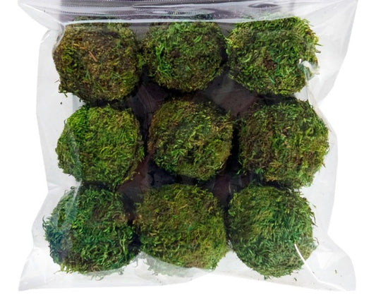 Bag/9 2.5" Moss Balls