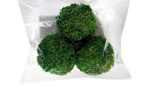 Bag/3 2.5" Moss Balls