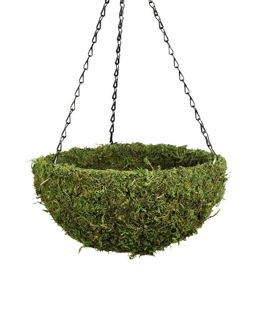 12" Moss Basket Hanging Round