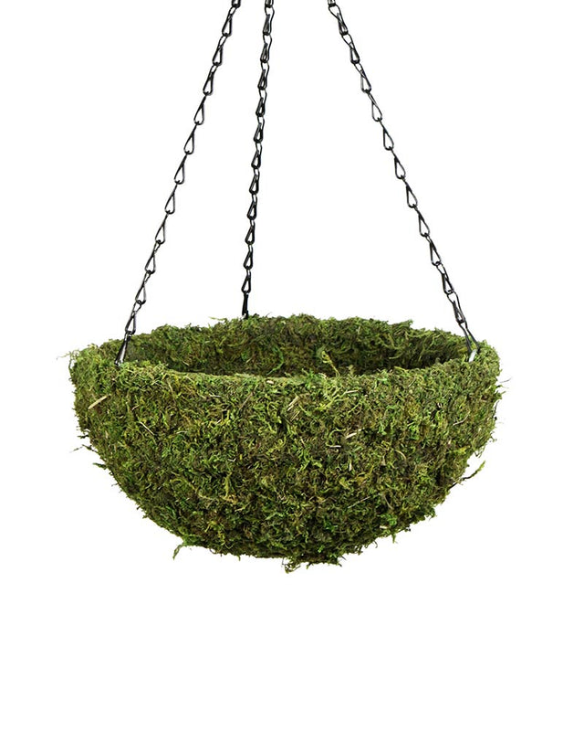 Green moss hanging basket with a natural round form.