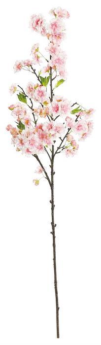 Cherry Blossom Pink