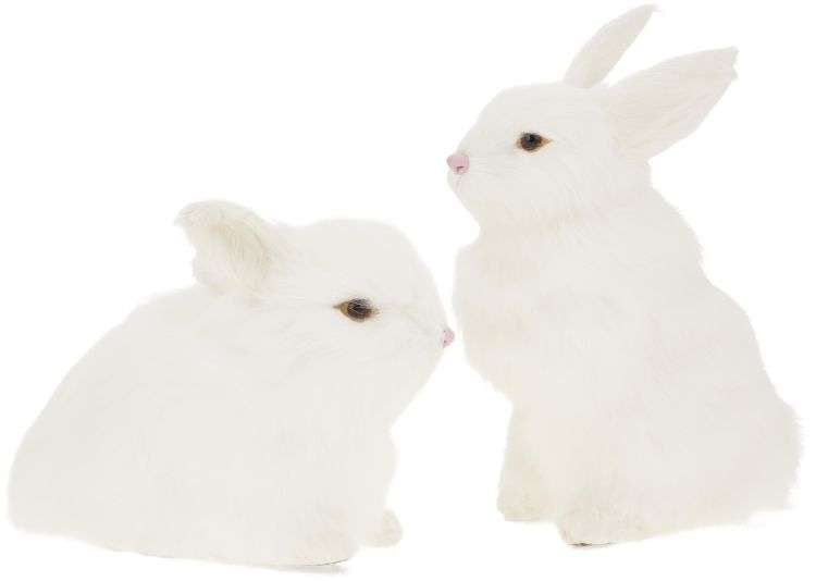 9" White Bunny
