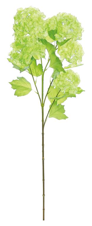 Green Snowball Flower