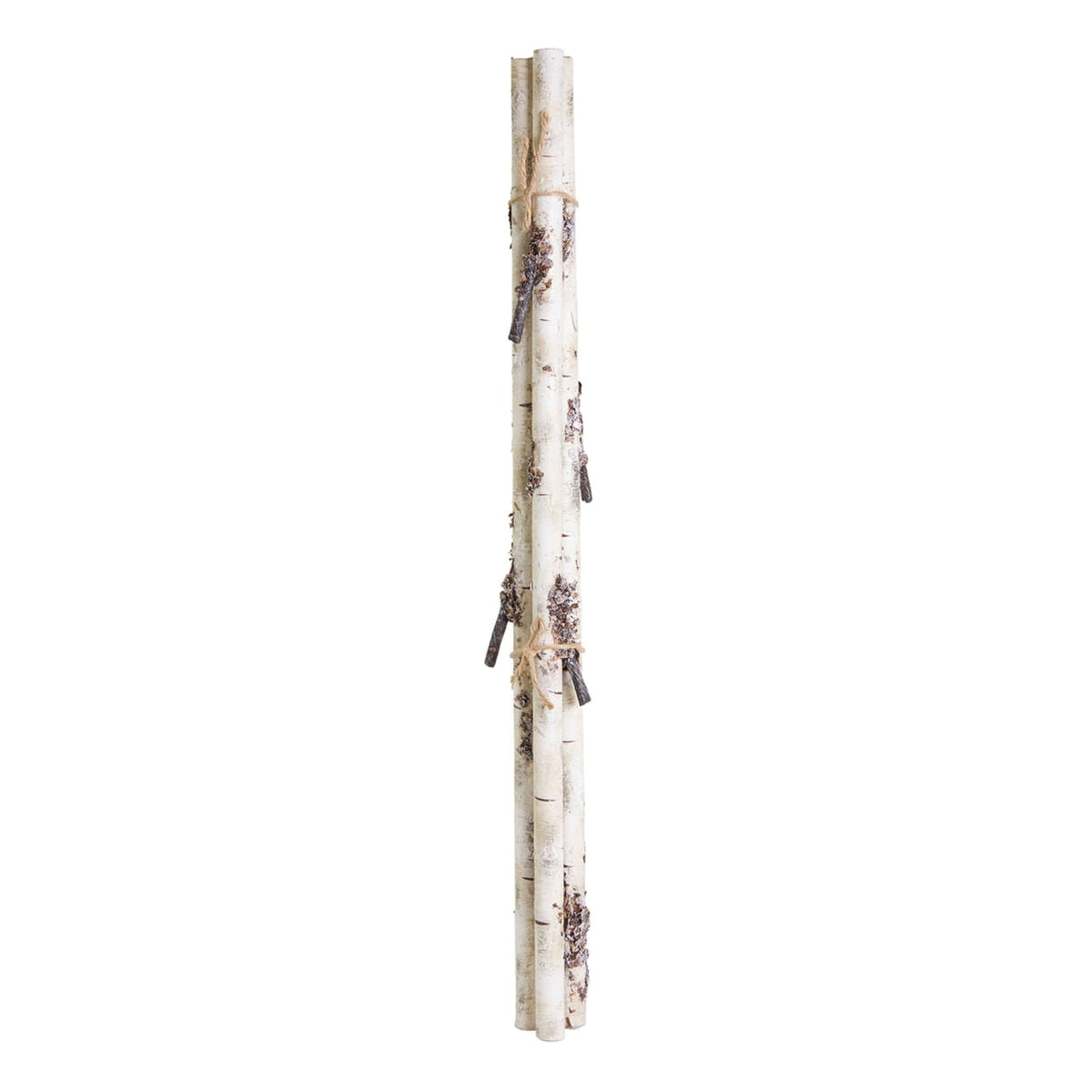28" Birch Bundle Branch