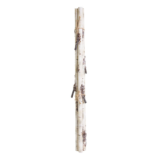 28" Birch Bundle Branch