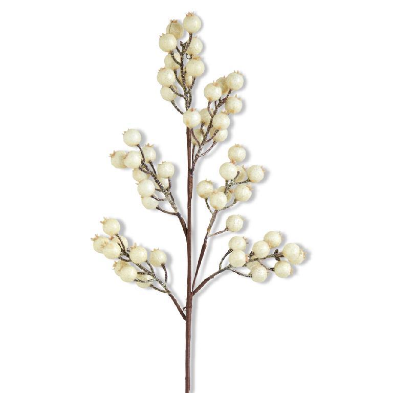 White berry spray with rounded clusters.