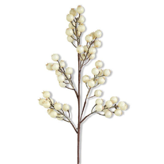 White berry spray with rounded clusters.