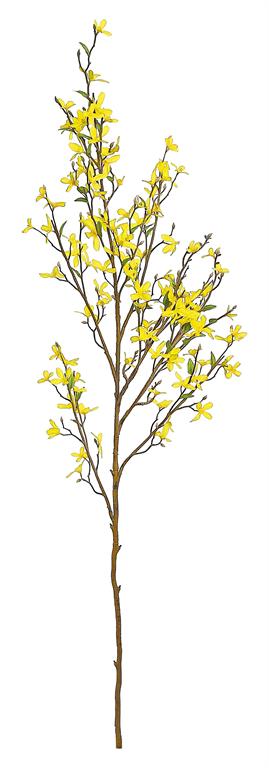 Yellow Blossom Branch
