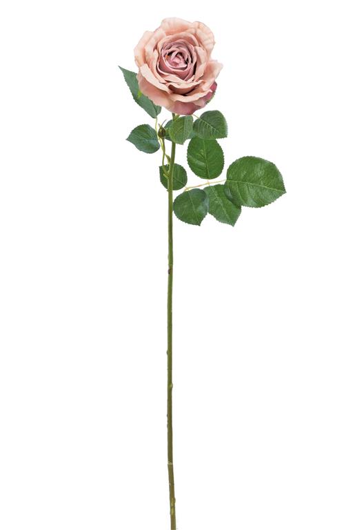 Dusty rose rosebud, 32 inches