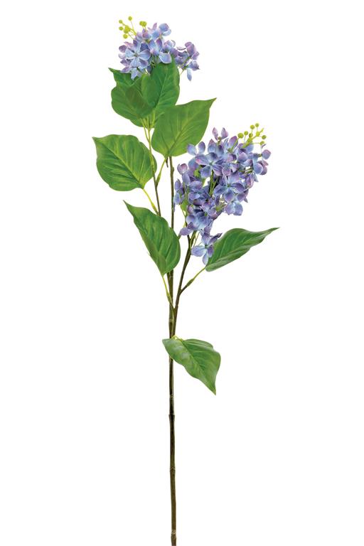 French Lilac Purple