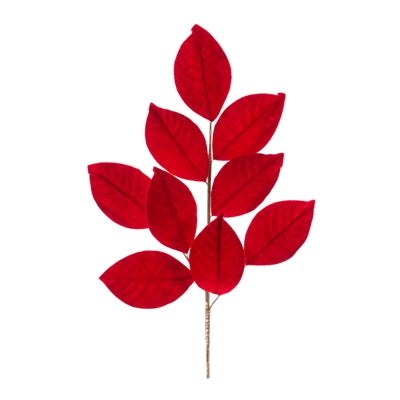Magnolia leaf spray in burgundy with glossy leaves.