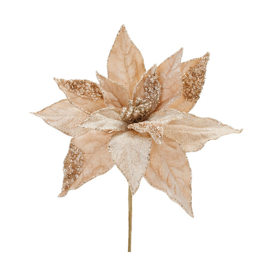 24" Beaded Poinsettia Stem Champagne