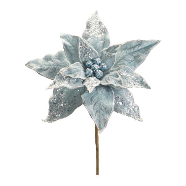 Blue poinsettia stem with a bold bloom.