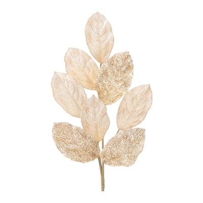 Champagne magnolia leaf spray with broad leaves.