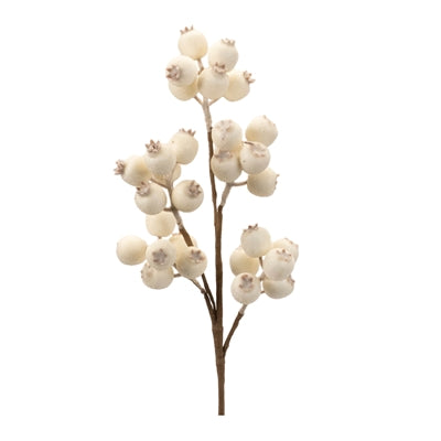 Beige berry stem.