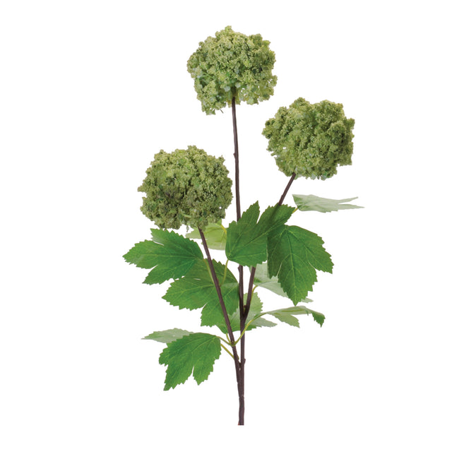 Green snowball branch spray.
