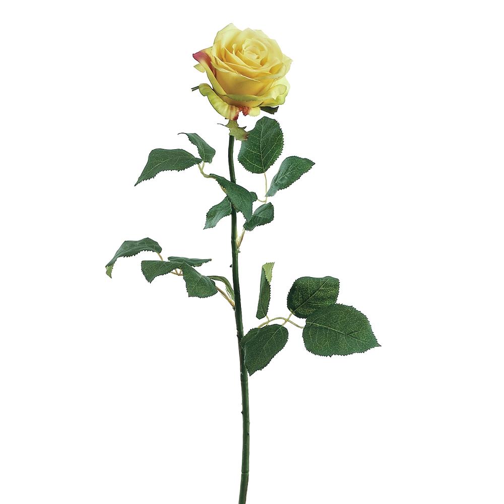 Yellow confetti rose spray, 27 inches