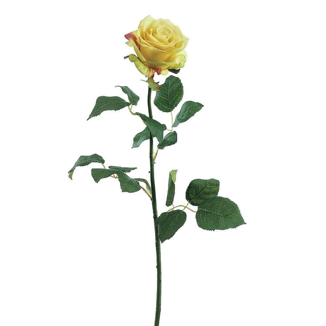 Yellow confetti rose spray, 27 inches