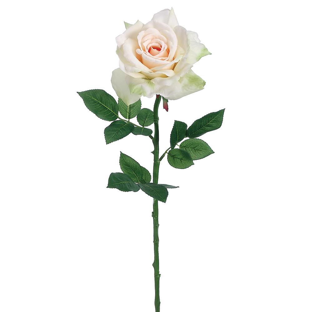 Apricot green rose spray, 26 inches