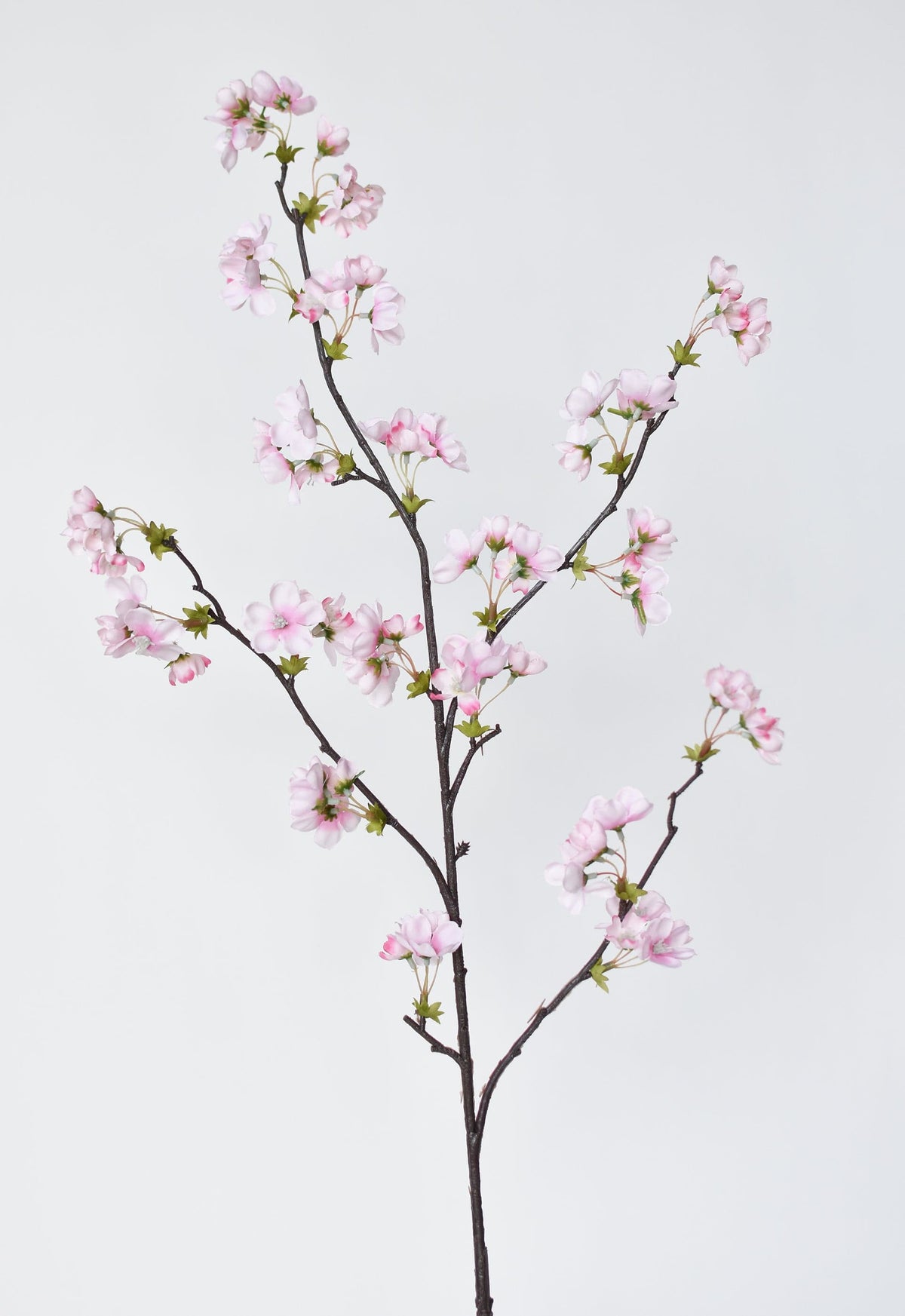 36" Pink Quince Blossom