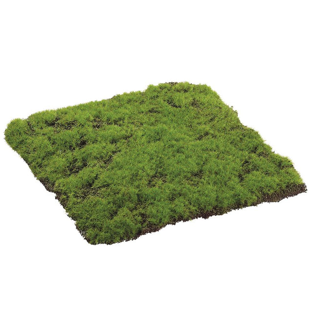 Green moss sheet with a natural square form.