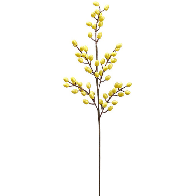 Yellow spray with egg yellow detail.
