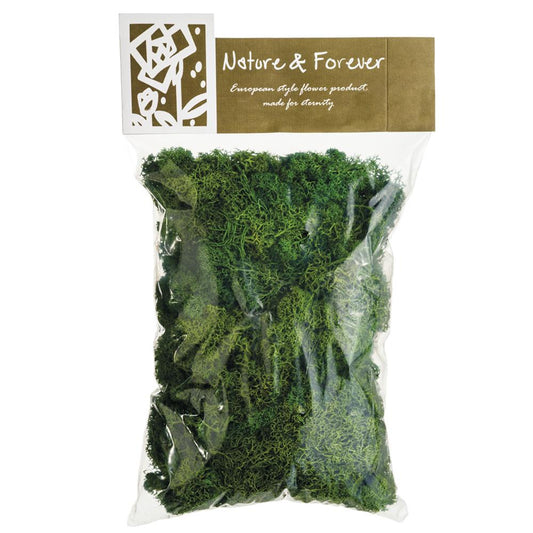 10.5" Reindeer Moss in Bag Green