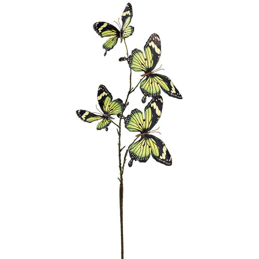 32" Butterfly Spray Green Black