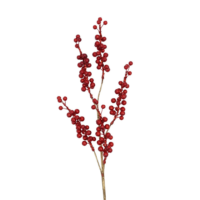 Red pearl spray with luminous red berries.