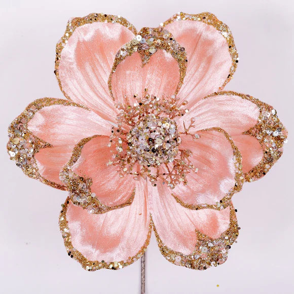 Light pink Victorian magnolia stem with a large bloom.