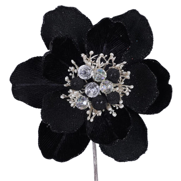 Black grand magnolia stem with large dramatic petals.