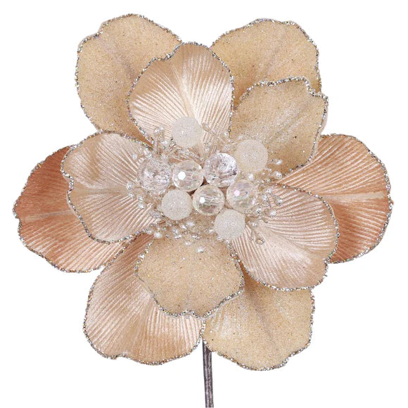Champagne grand magnolia stem with large blooms.