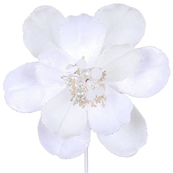 White grand magnolia stem with a full layered bloom.