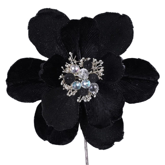 Black grand magnolia stem with large dramatic petals.