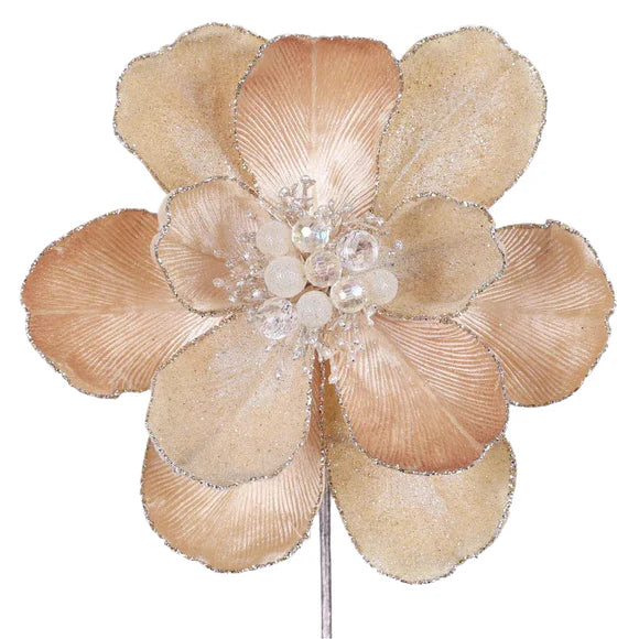 Champagne grand magnolia stem with a full layered bloom.
