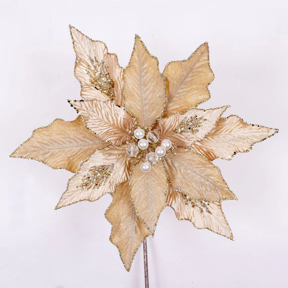 Pink poinsettia stem with layered festive petals.