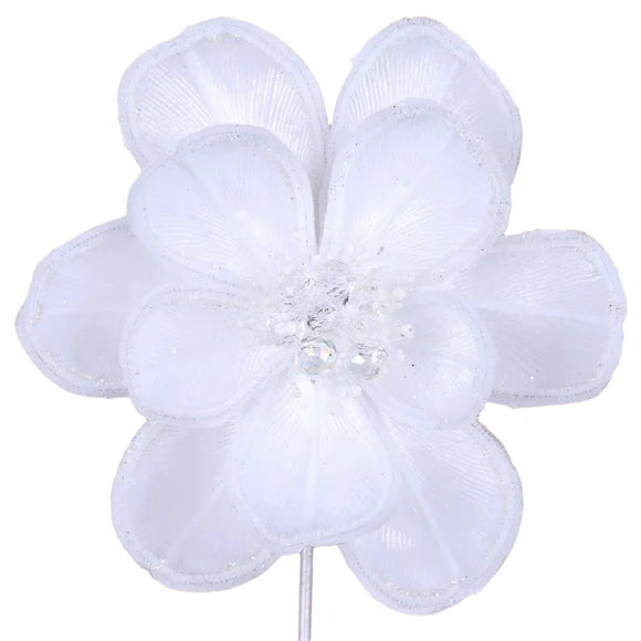 White magical magnolia stem with a full layered bloom.