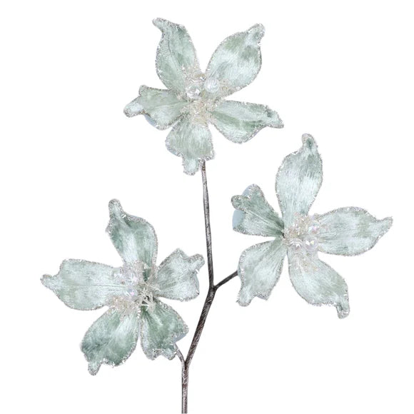 Mint green magnolia spray with layered mystic blooms.