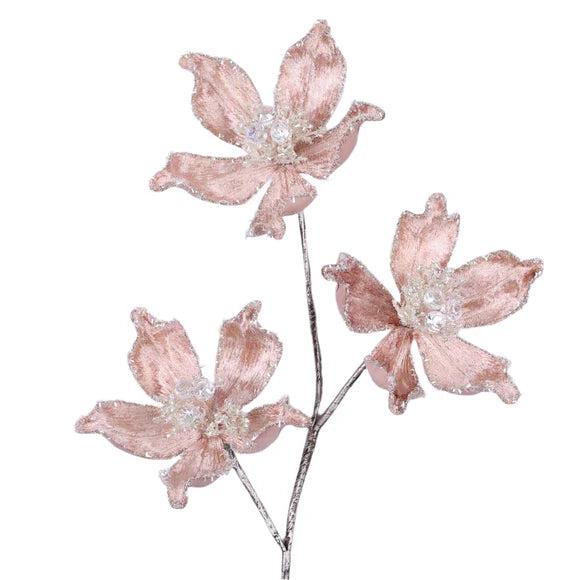 Cappuccino magnolia spray with layered mystic blooms.