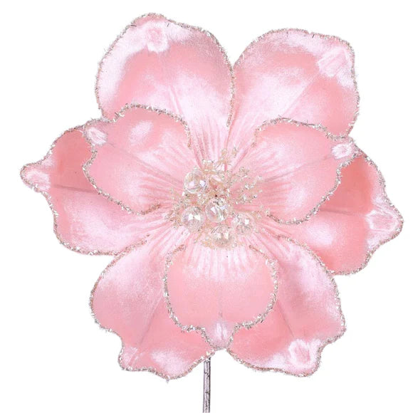 Pink grand magnolia stem with broad layered petals.